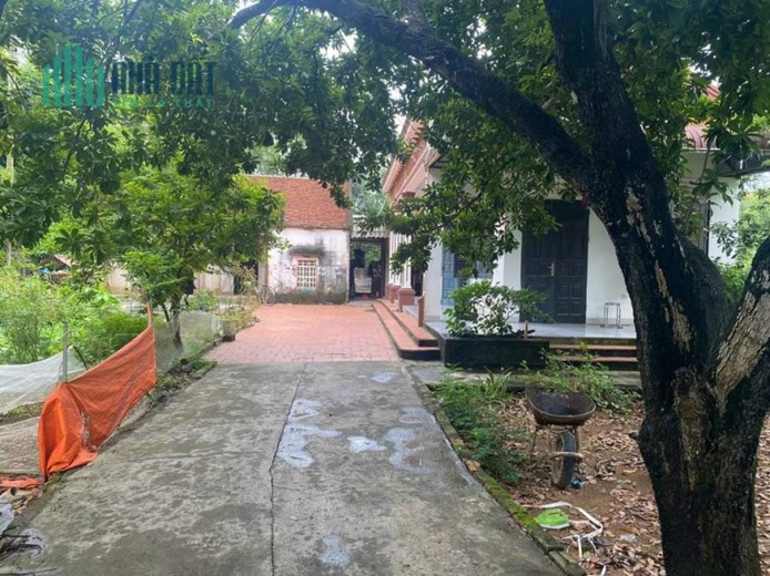 Bán Gấp Lô Đất 534m Đường Thông Ô Tô Săn Nhà Cấp 4 đẹp 2.2 Tỷ Nam Phương Tiến