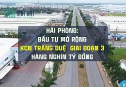 Đất nền sổ đỏ An Lão - Chỉ từ 𝟴 triệu/m2