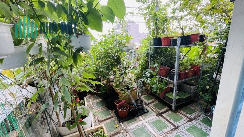 Chủ để giá tốt vừa bán vừa tặng khách-HXH Lê Văn Sỹ 4x11m 3PN nội thất