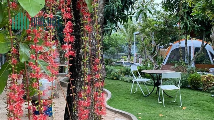 8 Tỷ có Ngay 300m2 NHÀ VƯỜN - MẶT TIỀN, NHÀ BÈ, GIÁ RẺ,