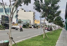Mặt Tiền Kinh Doanh Bờ Bao Tân Thắng Phường Sơn Kỳ Quận Tân Phú.