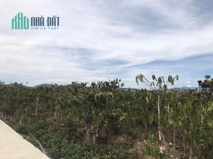 Bán đất 1,3ha Ninh Gia, Đức Trọng, Lâm Đồng, giá 14,8 tỷ nay giảm còn 14 tỷ