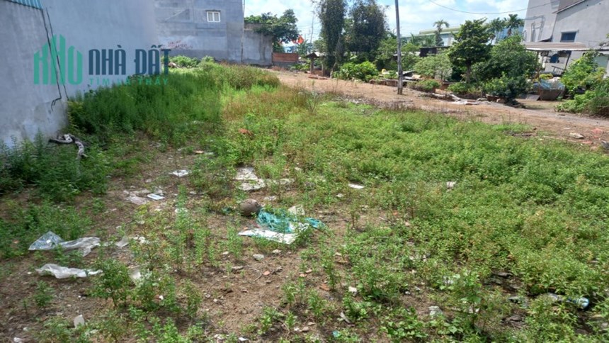 Bán đất AP.Đông 25 P.APĐ Q.12, 1494 m2, Đường 5M, giá chỉ 30 tỷ