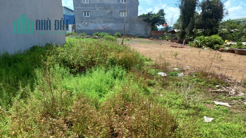 Bán đất AP.Đông 25 P.APĐ Q.12, 1494 m2, Đường 5M, giá chỉ 30 tỷ