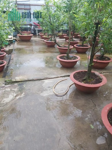 ĐẤT ĐẸP - GIÁ TỐT - CHÍNH CHỦ Bán Gấp Lô Đất Vị Trí Đẹp Tại Xã Bình Thạnh, Huyện Cao Lãnh, Đồng Tháp