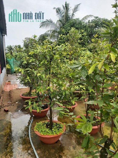 ĐẤT ĐẸP - GIÁ TỐT - CHÍNH CHỦ Bán Gấp Lô Đất Vị Trí Đẹp Tại Xã Bình Thạnh, Huyện Cao Lãnh, Đồng Tháp