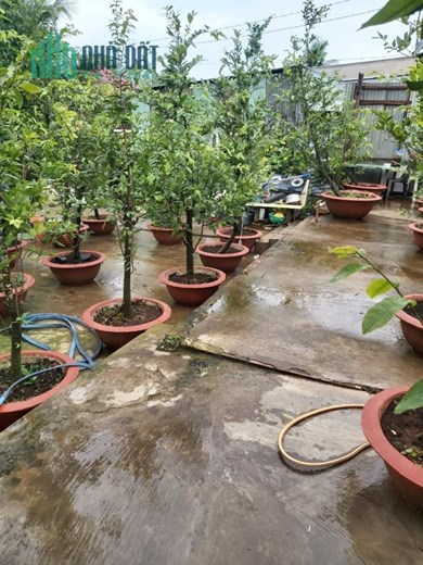 ĐẤT ĐẸP - GIÁ TỐT - CHÍNH CHỦ Bán Gấp Lô Đất Vị Trí Đẹp Tại Xã Bình Thạnh, Huyện Cao Lãnh, Đồng Tháp