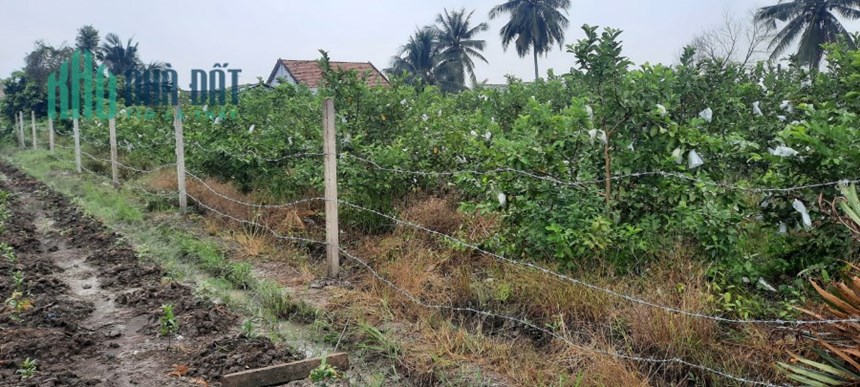 Bán 1350m2 đất vườn đẹp tại Ấp 10 xã Lương Hòa, H.Bến Lức, 1.75 tỷ. Lh:0909738988