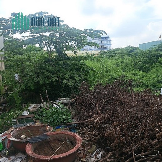 Bán đất HXH đường Hương lộ 2, BTĐ A, Bình Tân, 2000m2, chỉ 15tr/m2.