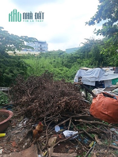 Bán đất HXH đường Hương lộ 2, BTĐ A, Bình Tân, 2000m2, chỉ 15tr/m2.