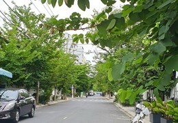 Cần tiền bán gấp: Tòa Căn Hộ Trần Văn Dư, Cạnh Biển, Dòng Tiền 400 Tr. Cắt lỗ 3 tỷ nay chỉ còn 7 tỷ
