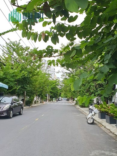 Cần tiền bán gấp: Tòa Căn Hộ Trần Văn Dư, Cạnh Biển, Dòng Tiền 400 Tr. Cắt lỗ 3 tỷ nay chỉ còn 7 tỷ