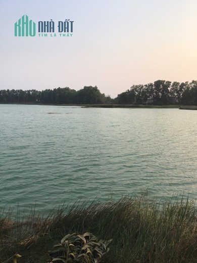 Bán 3000m2 đất xã Tân Mỹ huyện Đức Hoà, SHR chỉ 4.95 tỷ. Lh:0903729035.