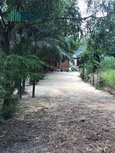 Bán 3000m2 đất xã Tân Mỹ huyện Đức Hoà, SHR chỉ 4.95 tỷ. Lh:0903729035.
