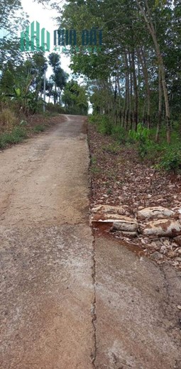 Sở Hữu Ngay Lô Đất Vị Trí Cực Đẹp Tại Thuận Phú, Đồng Phú – Giá Cực Rẻ