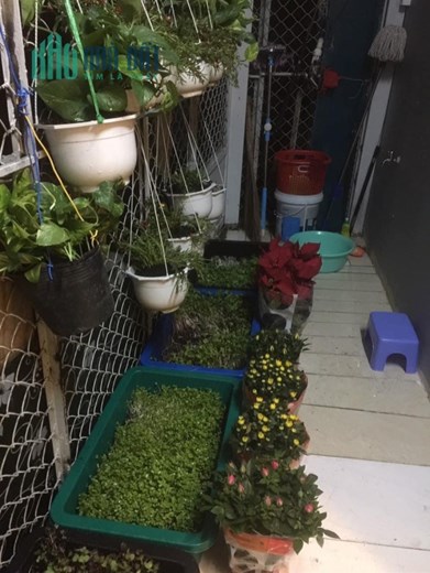 NHÀ ĐẸP GIÁP Q1  - SỔ NỞ HẬU - HẺM BA GÁC-ĐẦY ĐỦ TIỆN ÍCH.