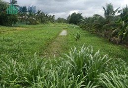 CHÍNH CHỦ BÁN 4,5 CÔNG ĐẤT SỔ HỒNG RIÊNG GIÁ RẺ MT ĐƯỜNG 173-HỮU ĐỊNH