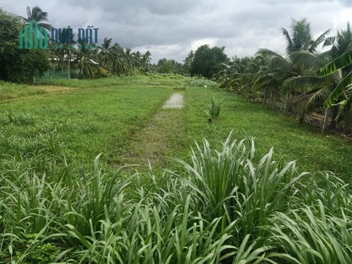 CHÍNH CHỦ BÁN 4,5 CÔNG ĐẤT SỔ HỒNG RIÊNG GIÁ RẺ MT ĐƯỜNG 173-HỮU ĐỊNH