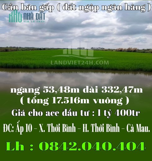 Cần bán gấp ( đất ngộp ngân hàng )