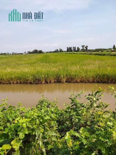 Cần bán gấp ( đất ngộp ngân hàng )