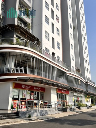 Chính chủ cần bán nhanh shophopuse chung cư cao cấp Riverside - Conic, Nguyễn Văn Linh, Phường 7,