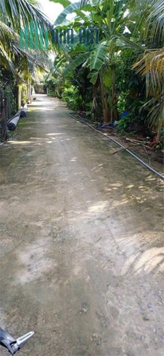 Cần Bán 2,5 Công Đất Vị Trí Đắc Địa Tại Tân Mỹ Chánh, TP Mỹ Tho