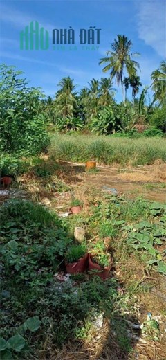 Cần Bán 2,5 Công Đất Vị Trí Đắc Địa Tại Tân Mỹ Chánh, TP Mỹ Tho