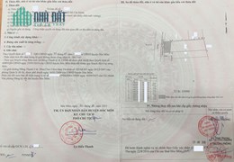 Bán gấp biệt thự sân vườn, mặt tiền đường xe tải, container chạy, xã Đông Thạnh, Hóc Môn.