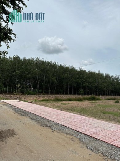 Thạnh Đức, Gò Dầu , Tỉnh Tây Ninh. 
FULLThổ cư. 
Giá bán nhanh: 6xxtr