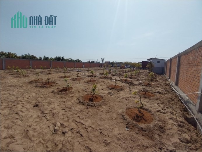 Bán 2.8 công ruộng, mặt tiền tỉnh lộ 944, Hòa Bình, Chợ Mới, AG
