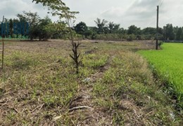 Bán 1.000m2 thổ cư tại ấp 4, xã Mỹ Thạnh, Thủ Thừa, Long An. SHR 2,6 tỷ. Lh:0988982408
