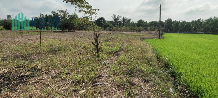 Bán 1.000m2 thổ cư tại ấp 4, xã Mỹ Thạnh, Thủ Thừa, Long An. SHR 2,6 tỷ. Lh:0988982408