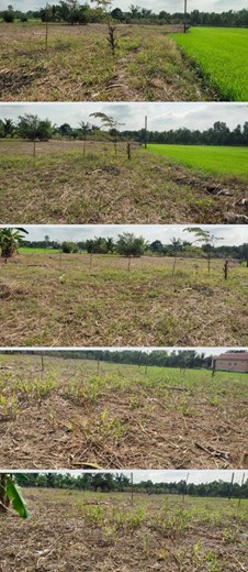 Bán 1.000m2 thổ cư tại ấp 4, xã Mỹ Thạnh, Thủ Thừa, Long An. SHR 2,6 tỷ. Lh:0988982408