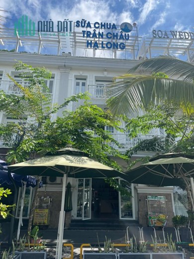 CẦN SANG NHƯỢNG - NHƯỢNG QUYỀN SỮA CHUA TRÂN CHÂU HẠ LONG