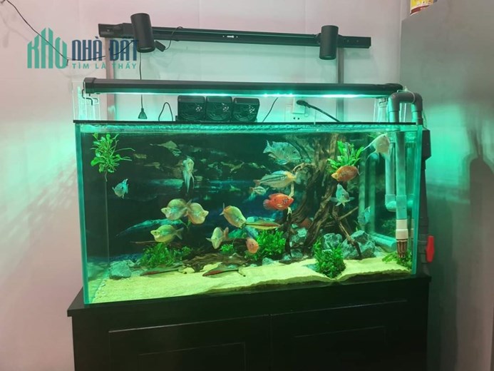 LÕI HOÀNG MAI. KPL NHÀ MẶT NGÕ DT 33M 4 TẦNG CHỈ 3.5 TỶ