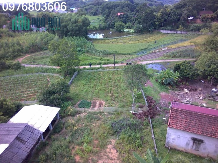 CỰC HIẾM: bán lô đât 700 m2 có 150 TC tại phú bình thái nguyên nơi khu công nghiệp đang mọc lên,