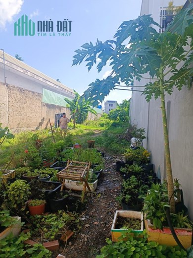Chính chủ cần bán đất mặt tiền đường Hà Huy Giáp, Phường Thạnh Lộc, Quận 12, TPHCM giáp quận Gò Vấp