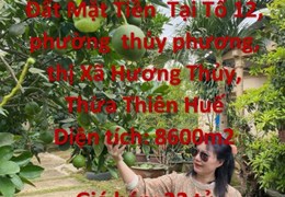 CHÍNH CHỦ  Cần Bán Lô Đất Mặt Tiền  Tại phường  thủy phương, thị Xã Hương Thủy, Thừa Thiên Huế