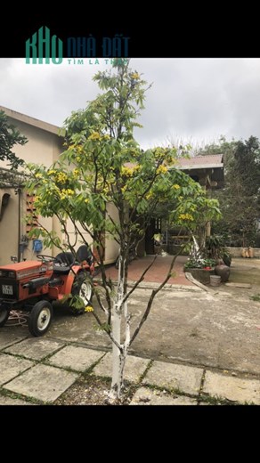 CHÍNH CHỦ  Cần Bán Lô Đất Mặt Tiền  Tại phường  thủy phương, thị Xã Hương Thủy, Thừa Thiên Huế