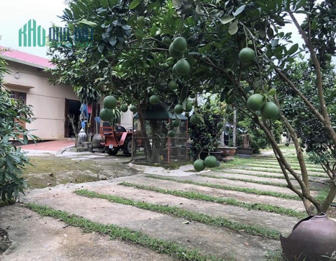 CHÍNH CHỦ  Cần Bán Lô Đất Mặt Tiền  Tại phường  thủy phương, thị Xã Hương Thủy, Thừa Thiên Huế