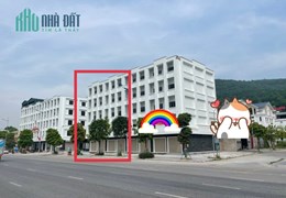 Chính chủ Bán hoặc Cho thuê lâu dài 2 căn nhà Liền kề Dự án Biệt Thự Xanh – Thành phố Hạ Long -