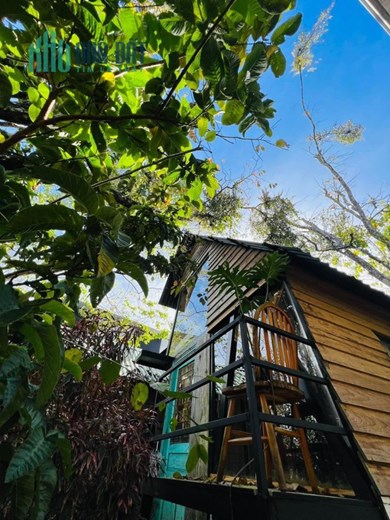 Cho thuê homestay sân vườn Phường 4 Đà Lạt