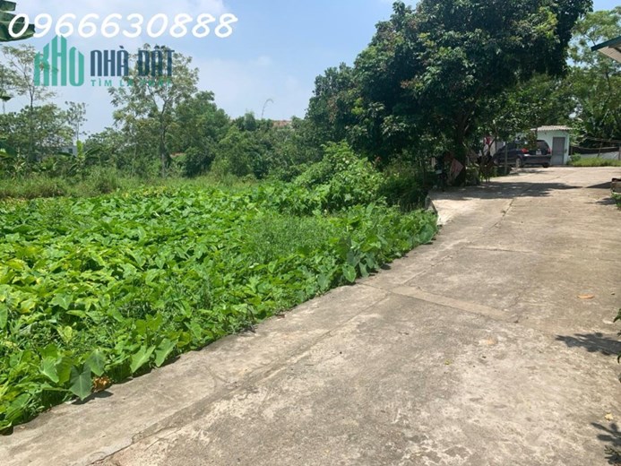 Nắm Bắt Cơ Hội 
Mảnh Đất TỔ 6 Phường Tân Hà  Tiềm Năng Tăng Giá Trị
2 mặt tiền. diện tích 122m2,
