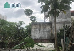 Chính chủ cần bán 53,6m Thôn Đông Trù,Xã Đông Hội,Đông Anh đường ô tô 7c giá công khai 53,6tr/m đầu