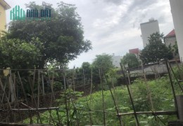Chính chủ cần bán 66,5m Thôn Đông Trù,Xã Đông Hội,Đông Anh đường ô tô 7c giá công khai 53tr/m đầu