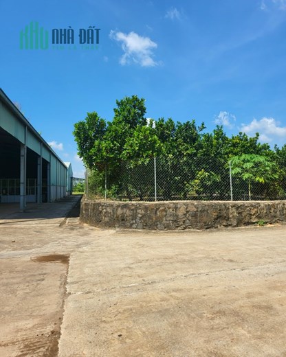 Chính Chủ Bán Nhanh, Giảm Giá Sốc 33000 m2 Đất & Nhà Xưởng tại Vĩnh Cửu, Đồng Nai