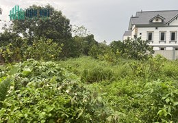 BÁN LÔ ĐẤT ĐẸP, GIÁ RẺ TẠI NAM PHƯƠNG TIẾN, CHƯƠNG MỸ, HÀ NỘI - MUA LÀ THẮNG