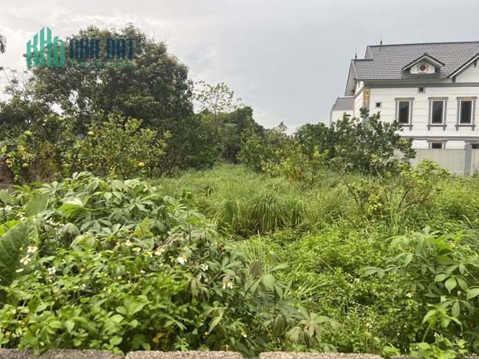 BÁN LÔ ĐẤT ĐẸP, GIÁ RẺ TẠI NAM PHƯƠNG TIẾN, CHƯƠNG MỸ, HÀ NỘI - MUA LÀ THẮNG