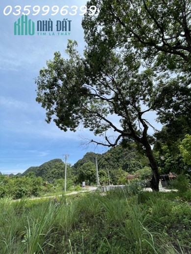 Cho thuê mảnh đất 455m2 tại xã Ninh Hải, Huyện Hoa Lư