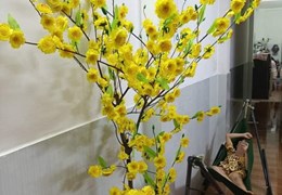 TRUNG TÂM  PHƯỜNG PHƯỚC LONG B. HẺM XE HƠI , 1T,1L 46M2 GIÁ CHỈ 3.5TỶ